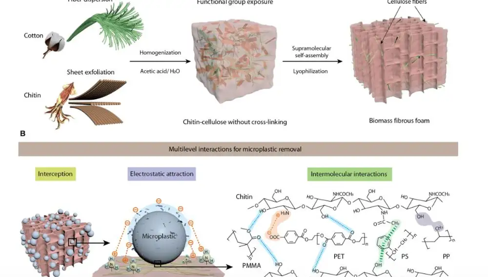 Expertos chinos diseñan esponja biodegradable que depura 99,8 % de microplásticos del agua
