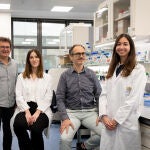 Una investigación biomédica revela el papel crucial de unos genes en el autismo idiopático