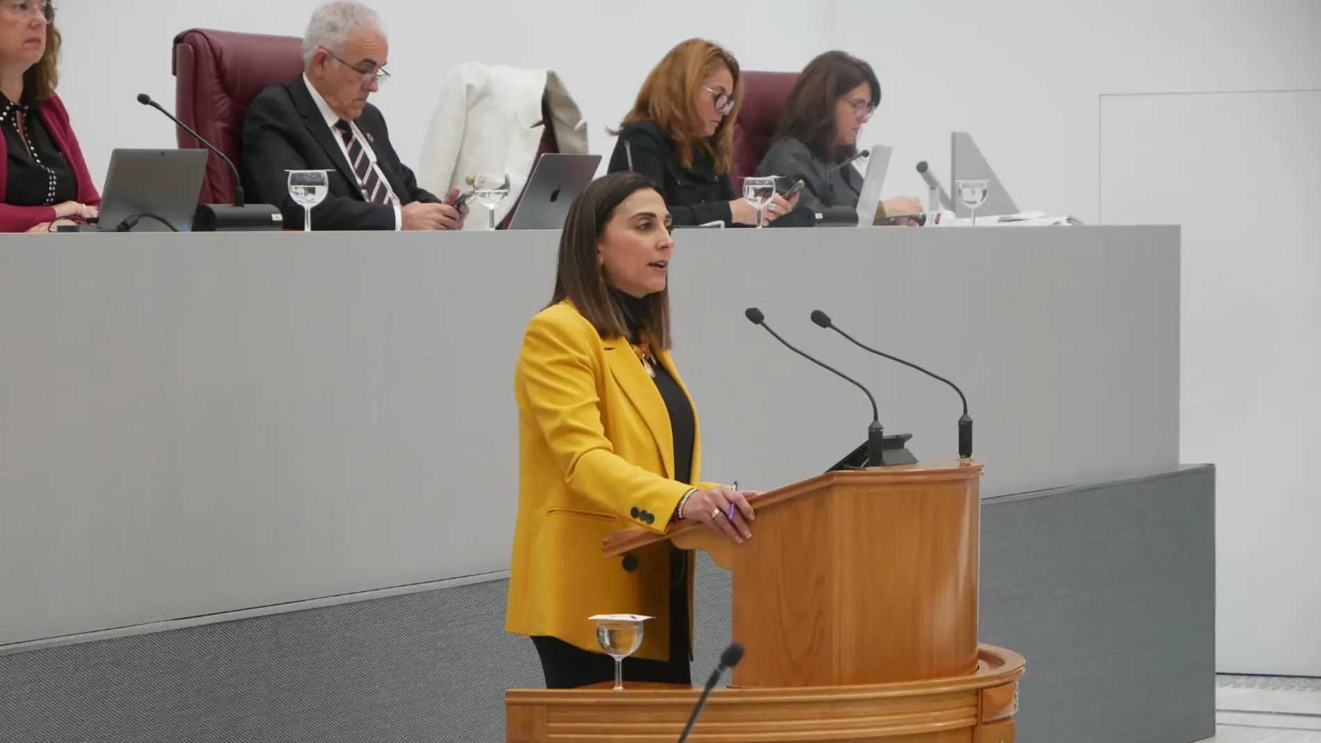 La consejera Sara Rubira durante su comparecencia en la Asamblea Regional
