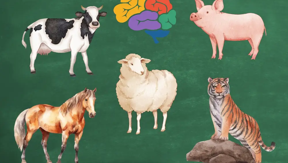 Test psicológico animales