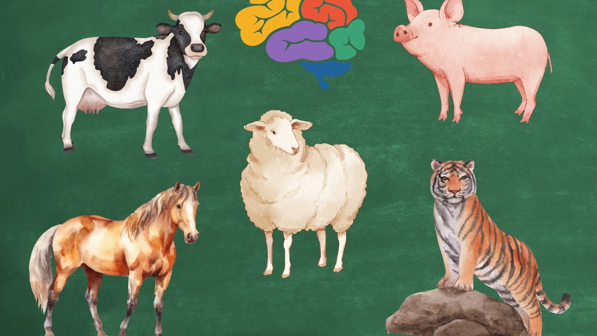 Test psicológico animales