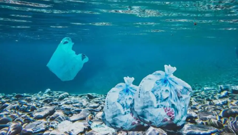 Gran parte de nuestros residuos de plástico acaba en el mar y libera microplásticos