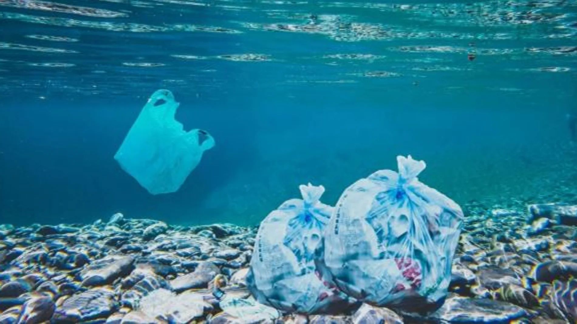 Gran parte de nuestros residuos de plástico acaba en el mar y libera microplásticos