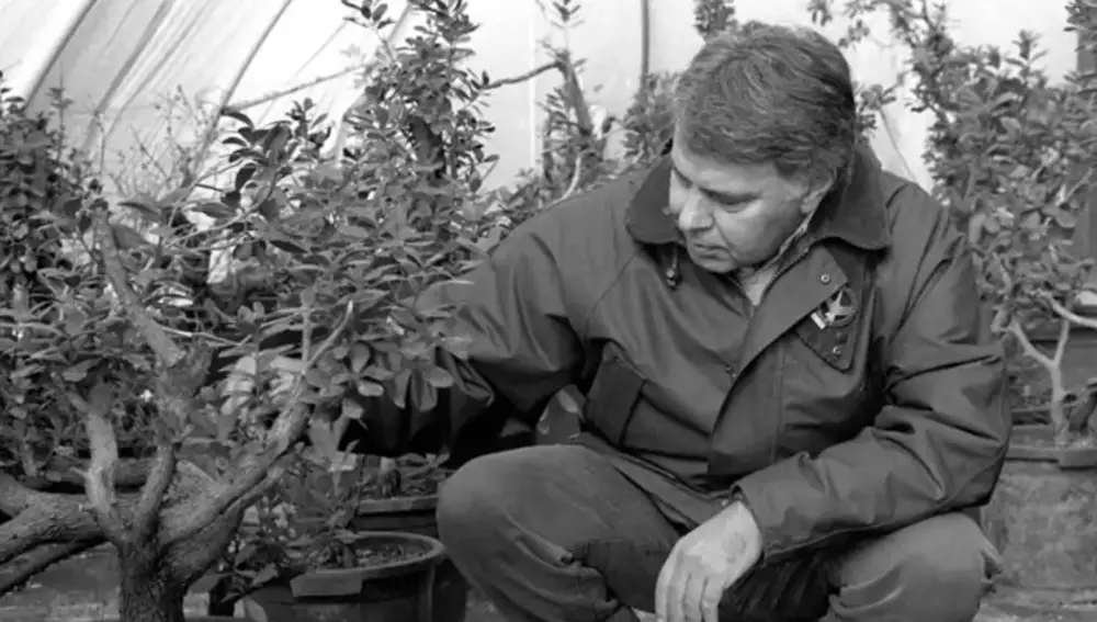 Felipe González, con su colección de bonsáis en la época como presidente del Gobierno