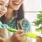 ¿Sabías que puedes tener un jardín interior? Este kit de hierbas aromáticas es un éxito en Amazon