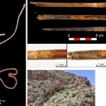 Un estudio liderado por la UAB revelan la "sofisticación" del tiro con arco en el neolítico