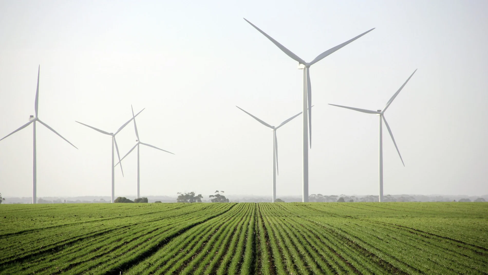 Con esta instalación, Naturgy suma 492 MW en operación en el país