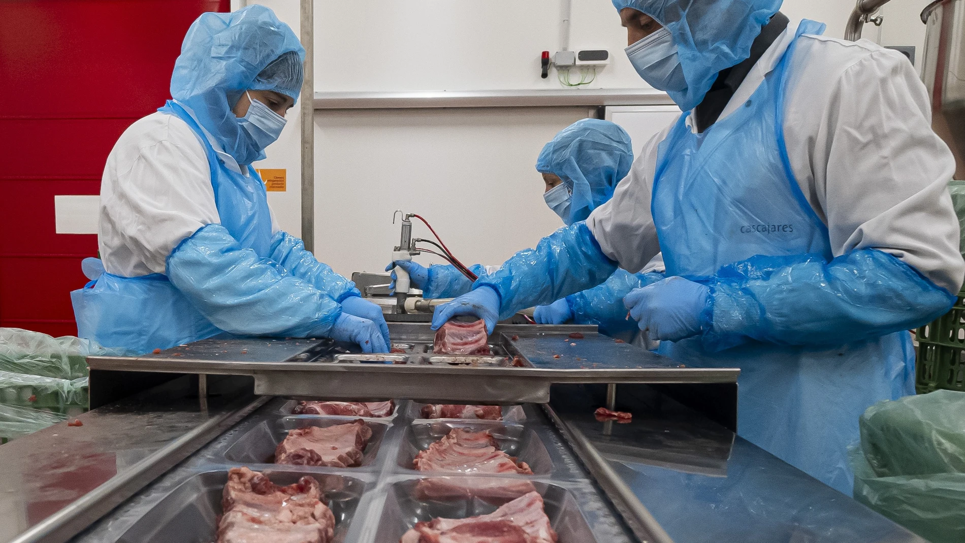 Trabajadores de Cascajares en la nueva fábrica de Dueñas