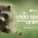 Imagen promocional del documental "La vida secreta de los animales"