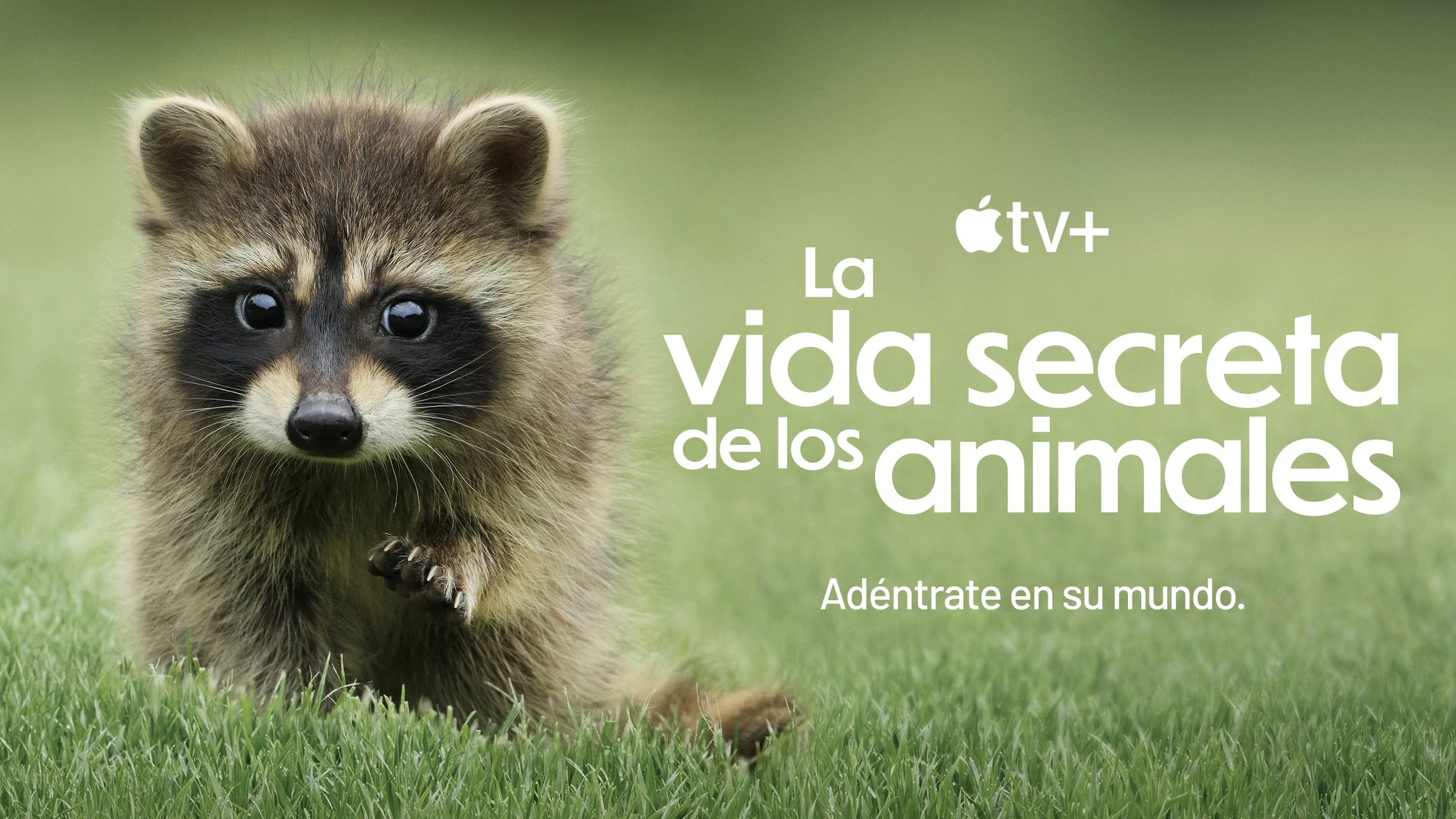 Imagen promocional del documental "La vida secreta de los animales"