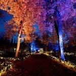 La capital de la Navidad en Cantabria que no te puedes perder es esta