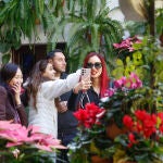 Los patios de Córdoba en Navidad
