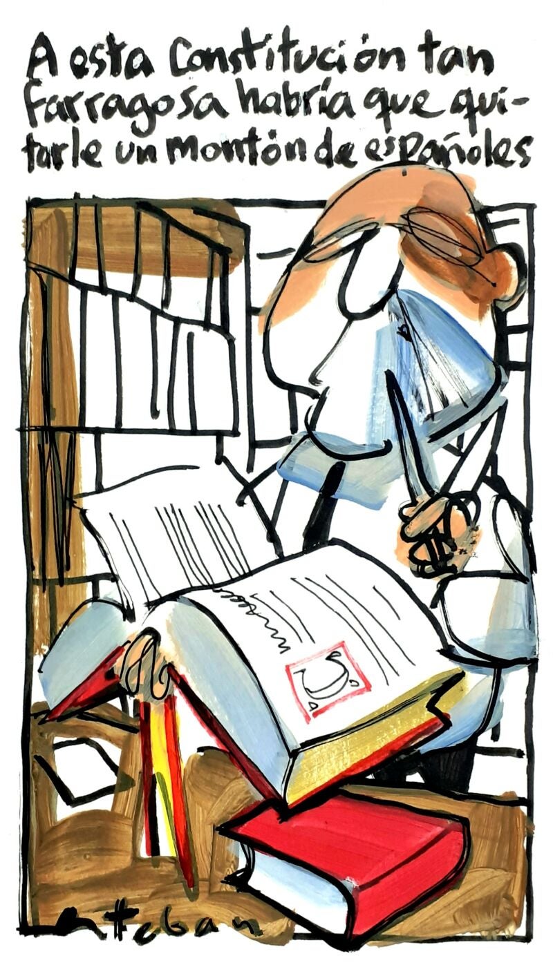 La viñeta de Esteban: 8 de diciembre de 2024