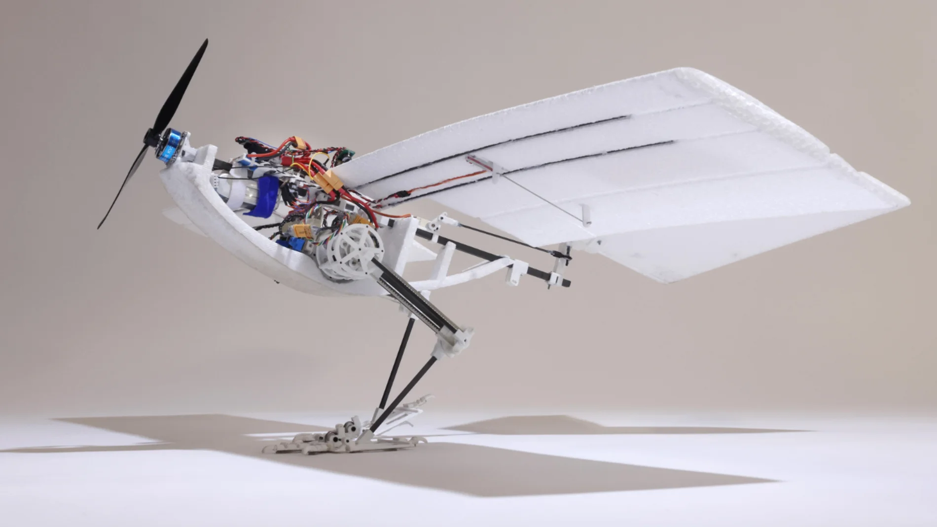 Dron