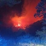 Incendio forestal Andratx