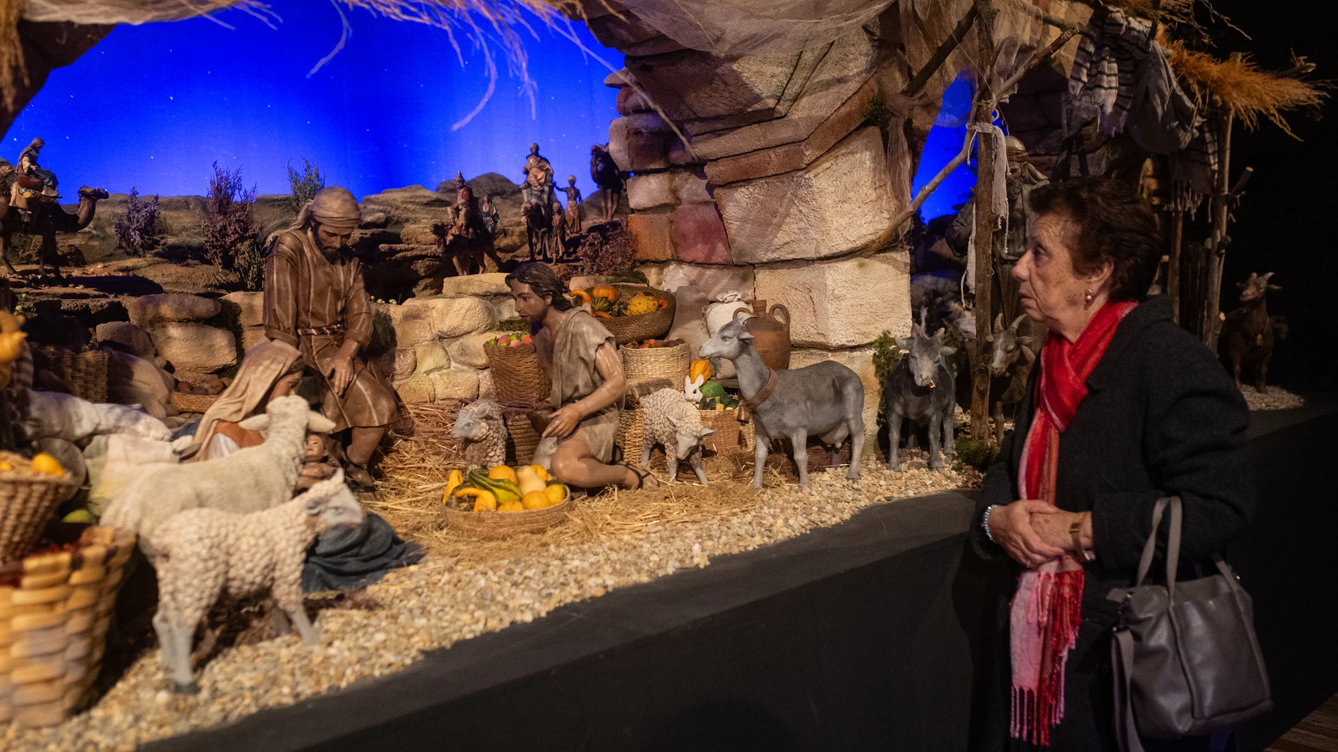 Una ciudadana zamorana visita el Belén