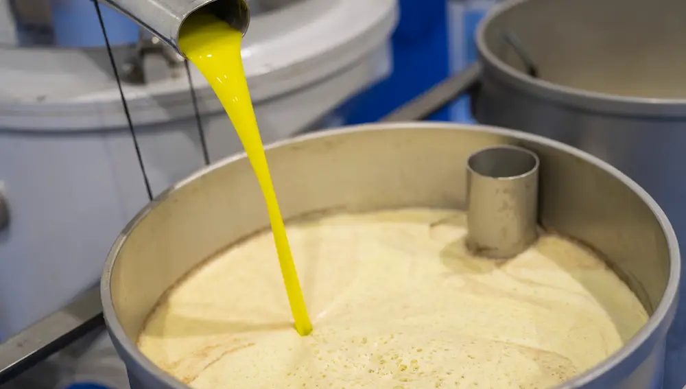 Reportaje de aceite Oleum. David Jar