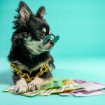 Las industria de los animales de compañía se consolida como un sector clave en la economía