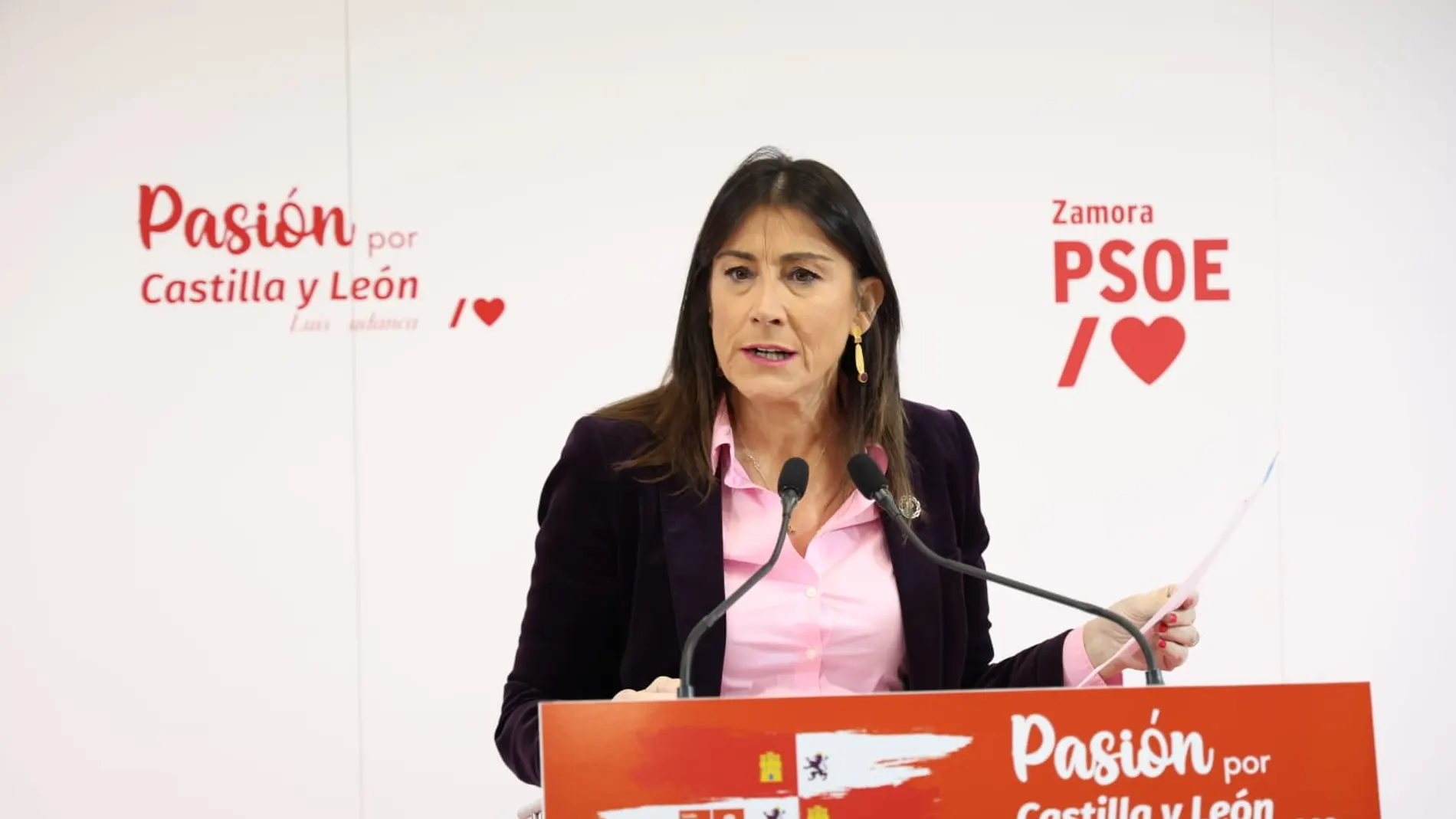 Ana Sánchez, secretaria de Organización del PSOE de Castilla y León, atiende a la prensa