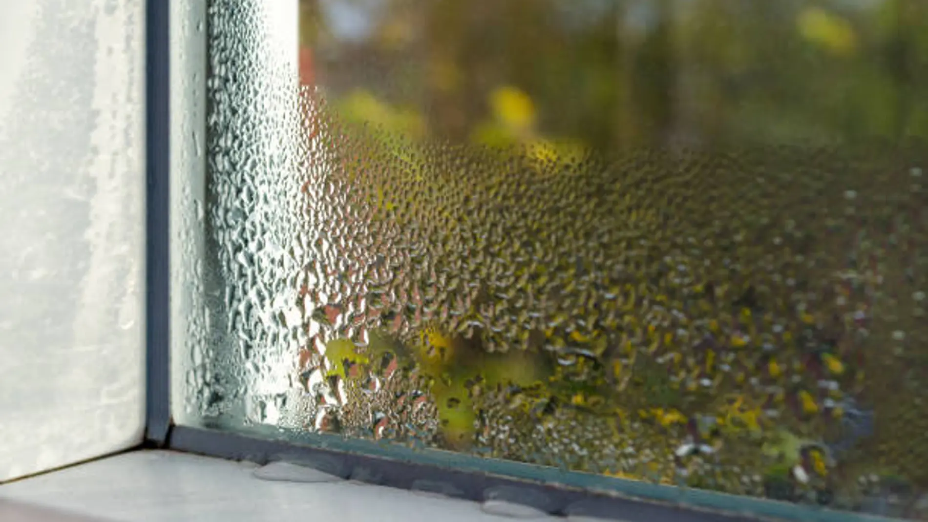 Un experto afirma que ''el truco de las cortinas'' puede evitar la formación condensación en las ventanas este invierno