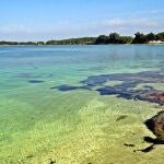 Así es el paraíso gastronómico de las Rías Baixas que conquista con su belleza y sabor