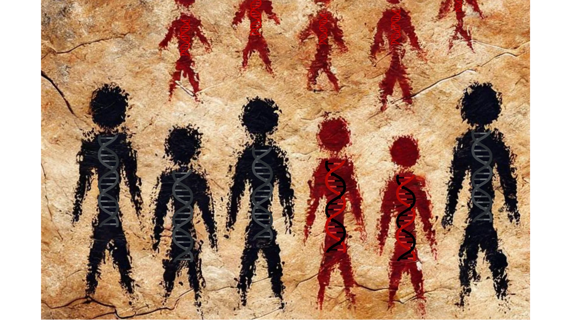 Ilustración (realizada por los investigadores con una IA) de un encuentro entre un grupo de neandertales (en negro) y un grupo de humanos modernos (en rojo, fila superior) con descendientes que muestran una ascendencia neandertal reciente (en rojo, fila inferior), imaginado como una pintura rupestre. El ADN extraído de huesos y dientes de estos primeros ancestros humanos está ayudando a los científicos a comprender las interacciones entre los primeros Homo sapiens y los neandertales con los q...