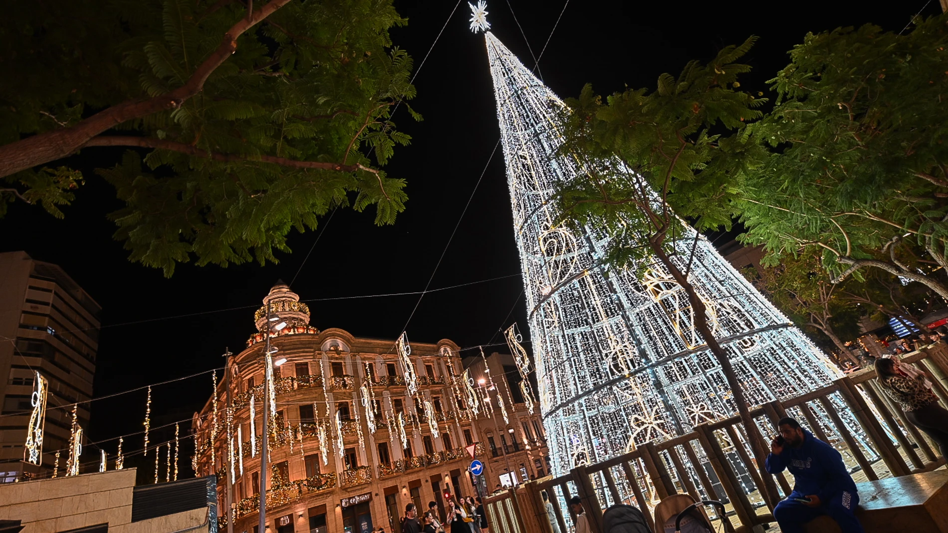 El espectacular árbol que protagoniza las calles más céntricas