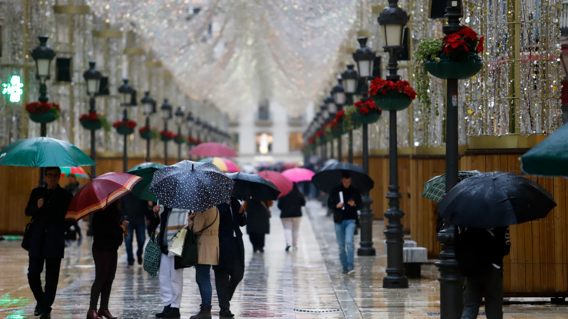 Gente con paraguas por las calles de Málaga. A 12 de diciembre de 2024 en Málaga, Andalucía (España). La Agencia Estatal de Meteorología (Aemet) ha activado avisos naranja en Costa del Sol-Guadalhorce y la Axarquía debido a lluvias intensas previstas para el jueves, con episodios de hasta 30 litros por metro cuadrado en una hora. 12 DICIEMBRE 2024 Álex Zea / Europa Press 12/12/2024