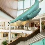 Hall Iberostar