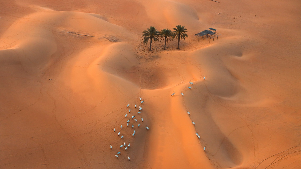 Investigadores gallegos explican el origen de los oasis