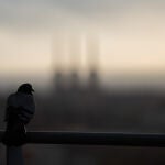 Contaminación en Barcelona