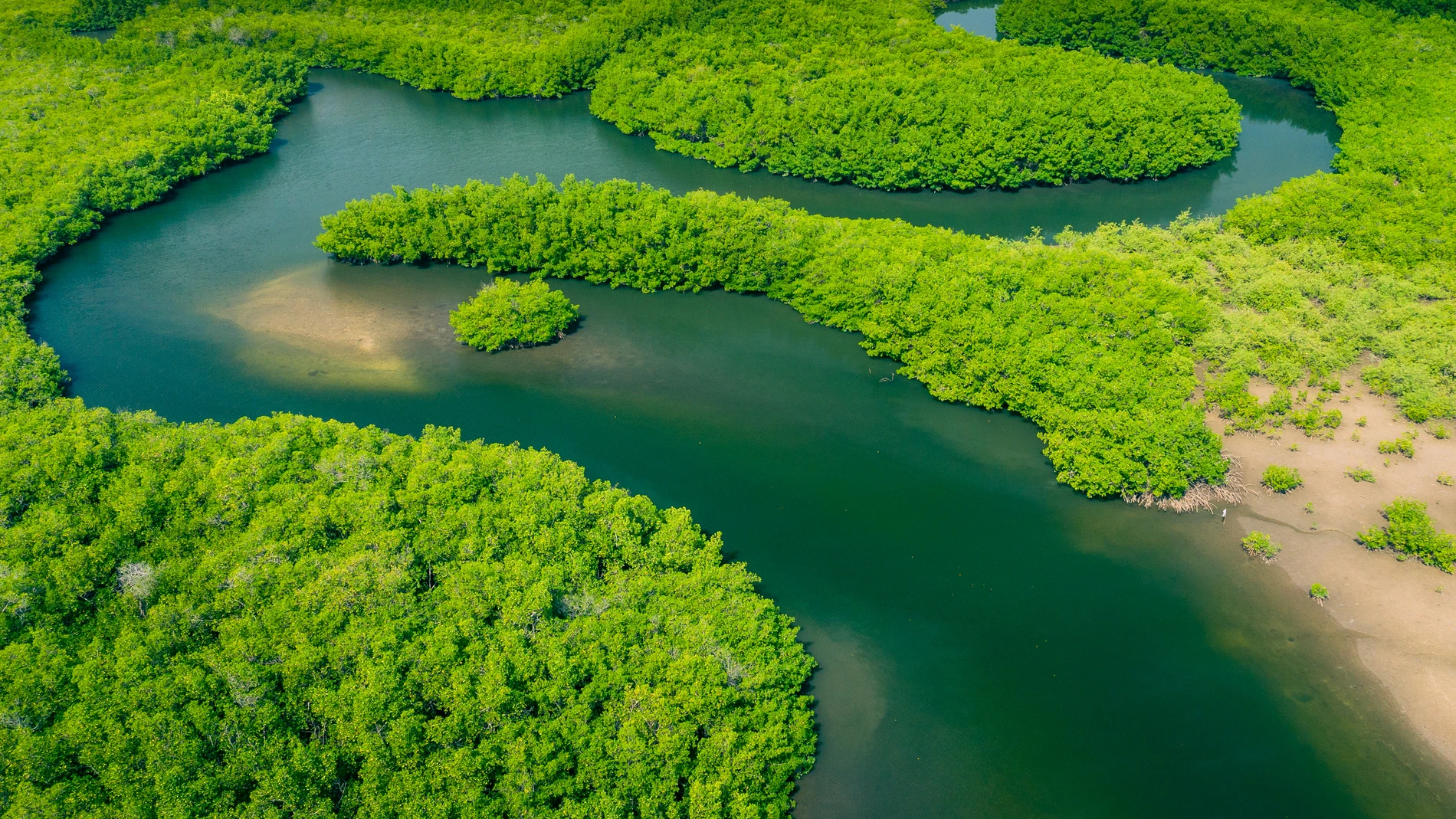 El Amazonas es el río más largo y caudaloso del mundo, con un caudal mayor que el Nilo y el Yangtsé juntos. Atraviesa hasta nueve países y está en el pulmón del planeta