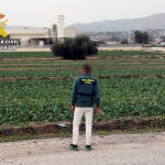 La Guardia Civil destapa en una finca de Alhama de Murcia un caso de explotación laboral