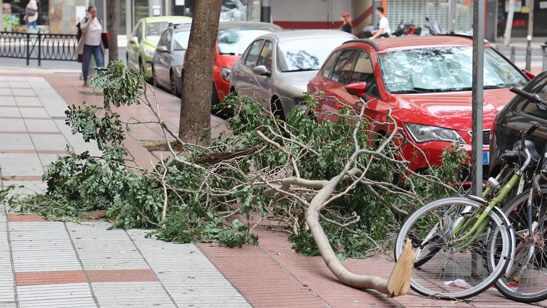 112 Canarias registra casi 100 incidencias a causa del viento en las islas occidentales sin dejar daños personales