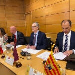 Imagen de archivo de un pleno del Consejo Interterritorial del Sistema Nacional de Salud, con el consejero Juan José Pedreño