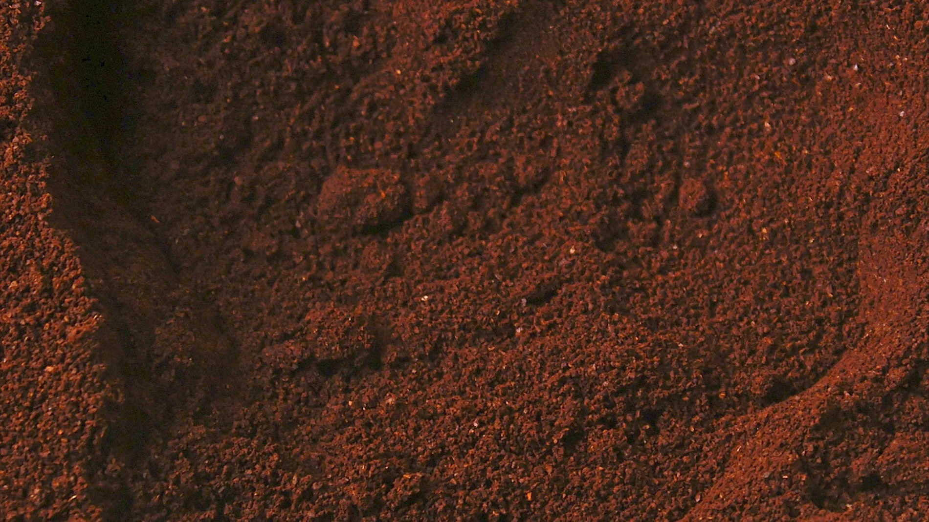 El café es la segunda bebida más consumida del mundo, solo por detrás del agua y por delante de la cerveza, así como la droga psicoactiva más tomada en nuestro planeta