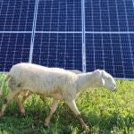 Andalucía ocupa el segundo puesto en capacidad solar de toda España solo por detrás de Extremadura