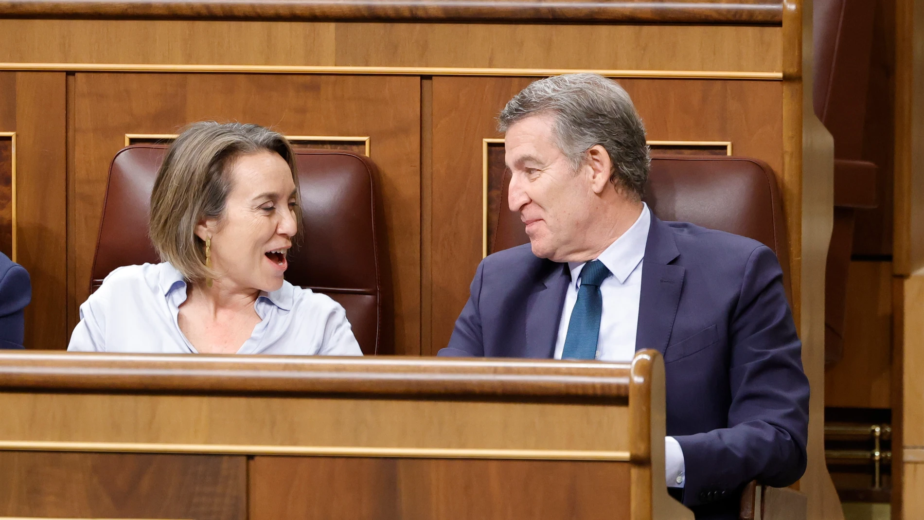 La secretaria general del PP, Cuca Gamarra y el presidente del PP, Alberto Núñez Feijóo, durante una sesión de control al Gobierno, en el Congreso de los Diputados, a 18 de diciembre de 2024, en Madrid (España). Durante la sesión de control, el PP se centra en los escándalos judiciales que afectan al Ejecutivo como la esposa del presidente del Gobierno o el ‘caso Koldo’. Mientras se desarolla la sesión plenaria en el Congreso, la esposa del presidente acude a declarar ante el juez Peinado que...