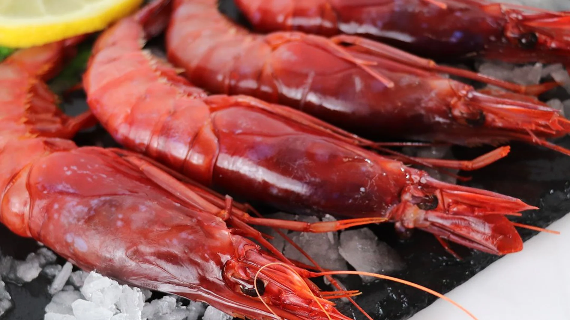 Una Navidad sin gamba roja en la mesa: a partir de este día se dejará de pescar