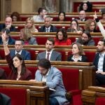 El Parlament se solidariza con los afectados por el ciclón 'Chido' en la isla francesa de Mayotte