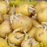 El efectivo truco para que no le salgan brotes a tus patatas