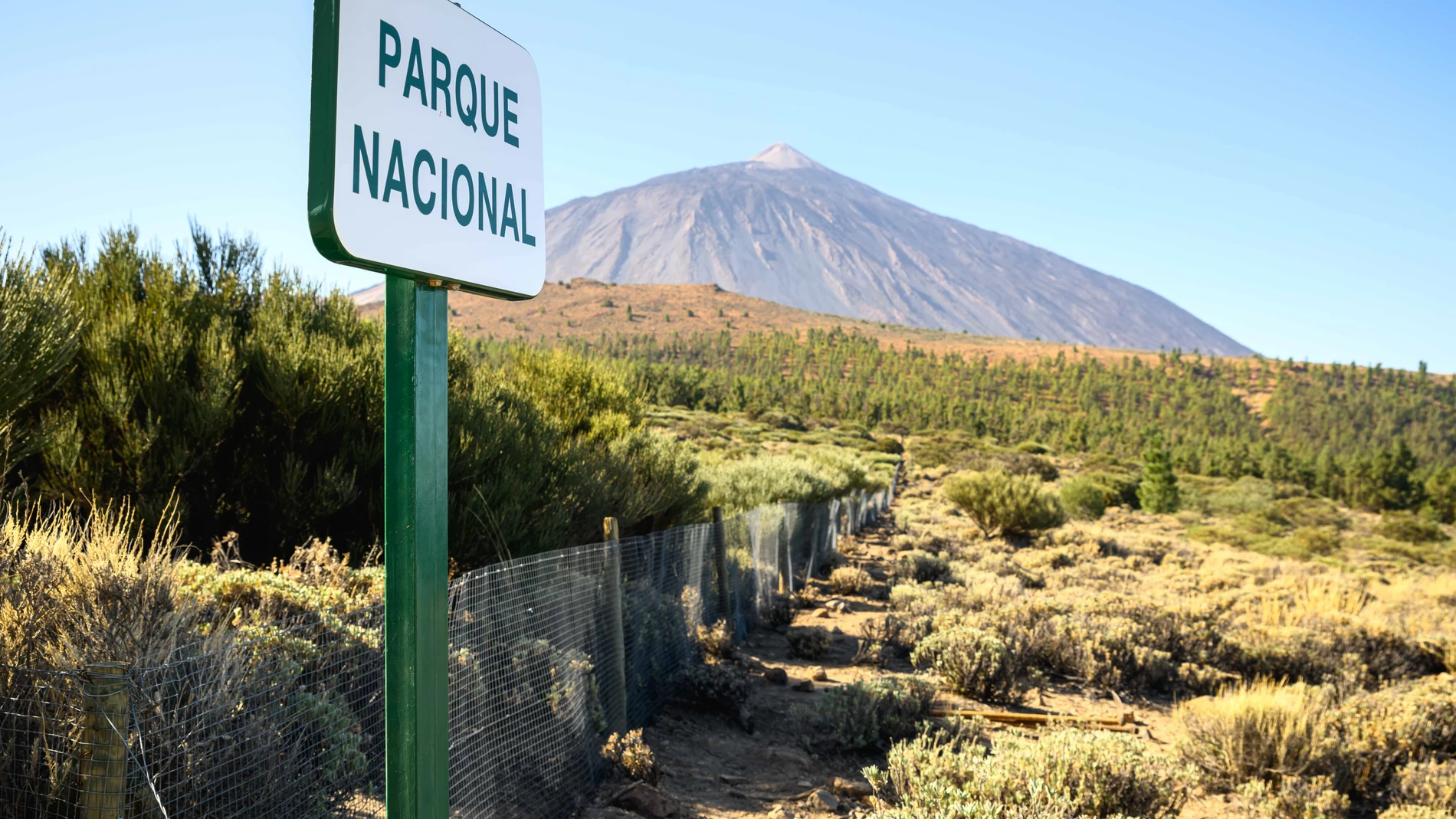 Parque Nacional del Teide