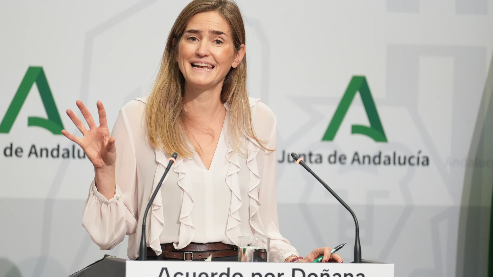 La vicepresidenta y ministra para la Transición Ecológica y el Reto Demográfico, Sara Aagesen durante la rueda de prensa posterior a la reunión mantenida el día de hoy. A 21 de diciembre de 2024 en Sevilla, Andalucía (España). El presidente de la Junta de Andalucía, Juanma Moreno, y la vicepresidenta y ministra para la Transición Ecológica y el Reto Demográfico, Sara Aagesen, se reúnen en el Palacio de San Telmo para tratar los avances y desafíos de Andalucía en materia de energía y medioambi...