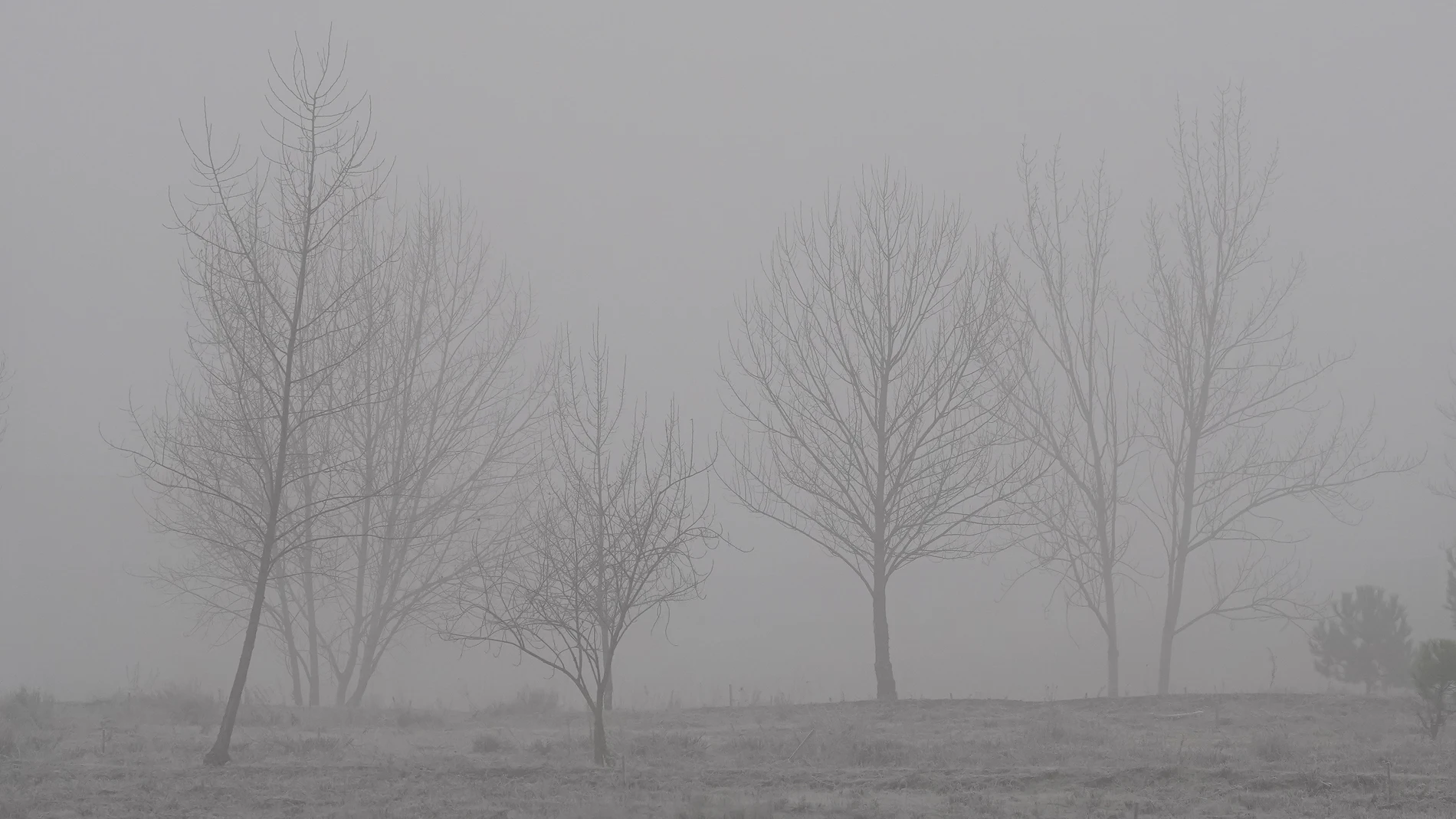 La niebla volverá a ser protagonista una jornada más