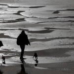 Unas mujeres pasean con sus perros este viernes en la playa de la Concha de San Sebastián