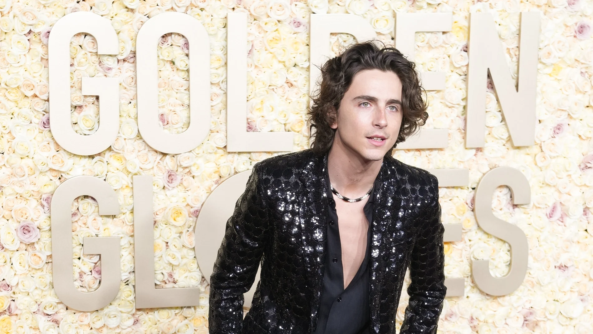 French-American actor Timothee Chalamet