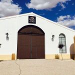 Oleoturismo en La Mancha: Una experiencia para descubrir el mejor AOVE del mundo