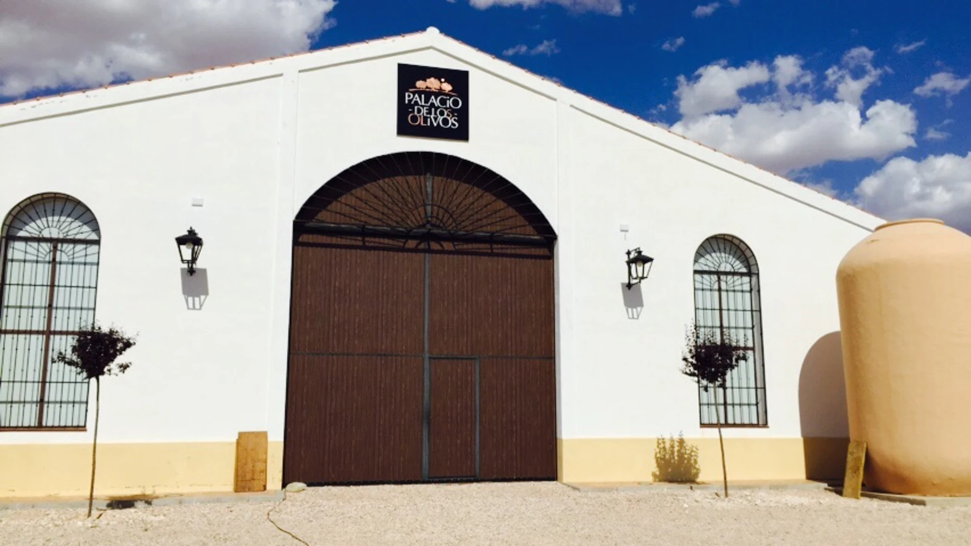 Oleoturismo en La Mancha: Una experiencia para descubrir el mejor AOVE del mundo