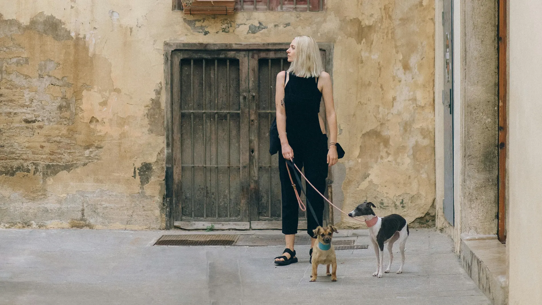 10 alojamientos DogFriendly en España