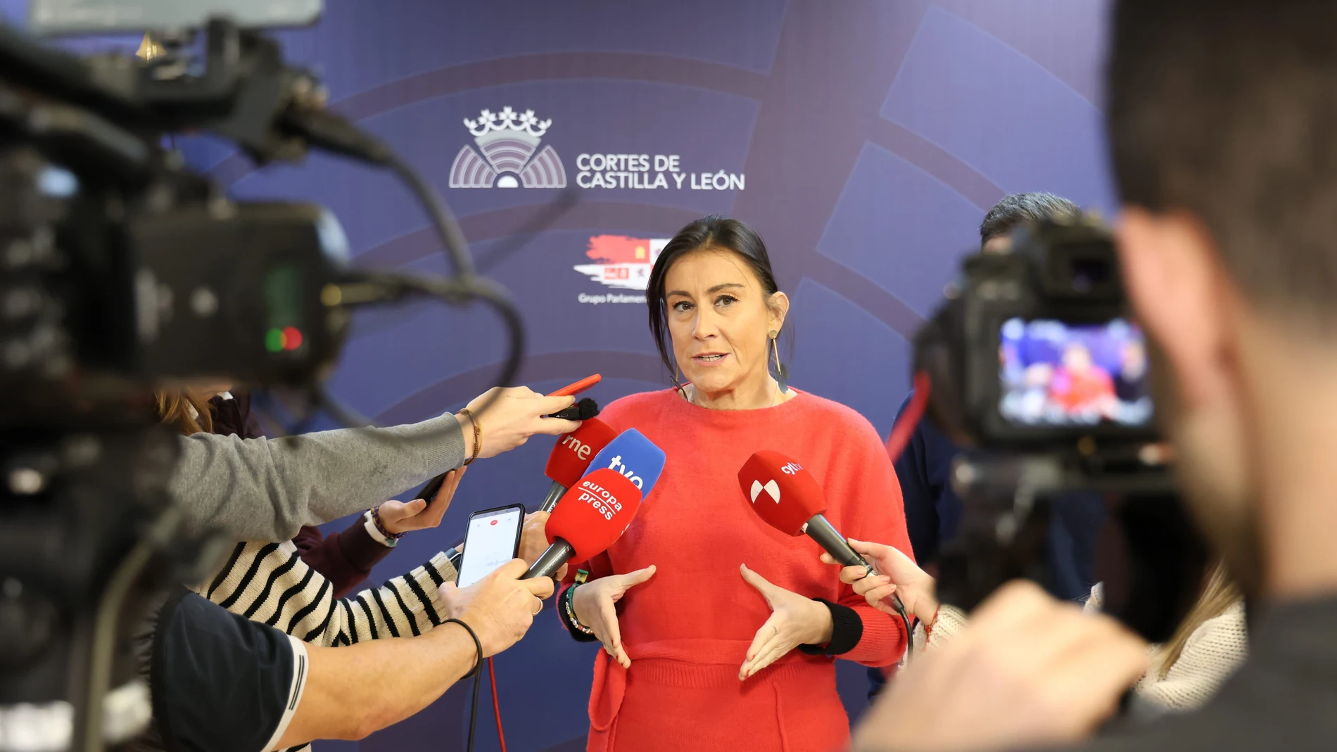 La secretaria de Organización del PSCyL, Ana Sánchez, atiende a los medios